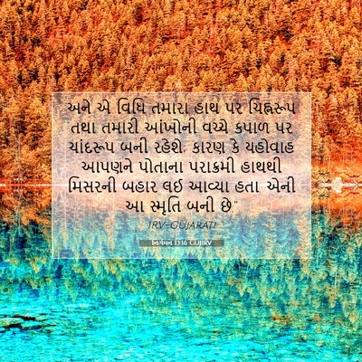 Picture 07 - નિર્ગમન 13:16 GUJIRV - અને એ વિધિ તમારા - Bible Verse Picture