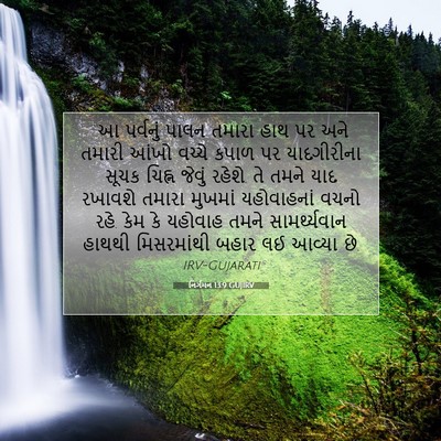 Picture 07 - નિર્ગમન 13:9 GUJIRV - “આ પર્વનું પાલન - Bible Verse Picture