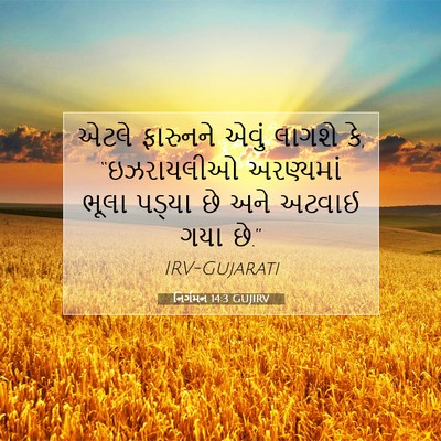 Picture 07 - નિર્ગમન 14:3 GUJIRV - એટલે ફારુનને એવું - Bible Verse Picture