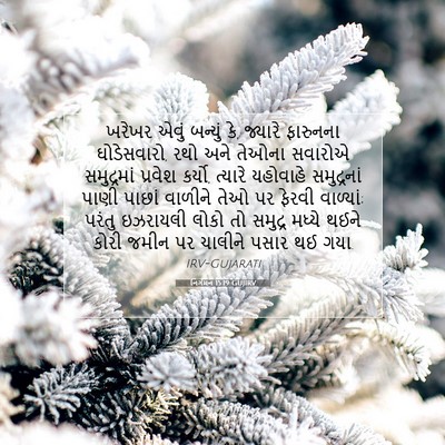Picture 07 - નિર્ગમન 15:19 GUJIRV - ખરેખર એવું બન્યું - Bible Verse Picture