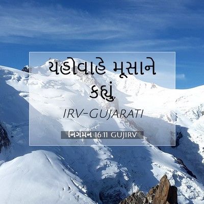 Picture 07 - નિર્ગમન 16:11 GUJIRV - યહોવાહે મૂસાને - Bible Verse Picture