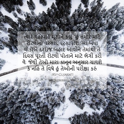 Picture 07 - નિર્ગમન 16:4 GUJIRV - ત્યારે યહોવાહે - Bible Verse Picture