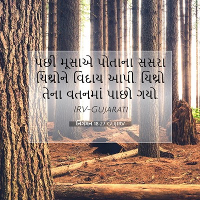 Picture 07 - નિર્ગમન 18:27 GUJIRV - પછી મૂસાએ પોતાના - Bible Verse Picture