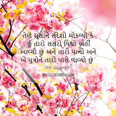 Picture 07 - નિર્ગમન 18:6 GUJIRV - તેણે મૂસાને - Bible Verse Picture