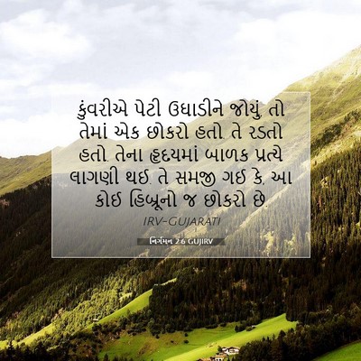 Picture 07 - નિર્ગમન 2:6 GUJIRV - કુંવરીએ પેટી - Bible Verse Picture