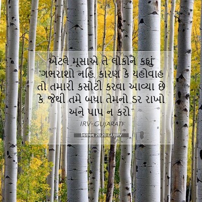 Picture 07 - નિર્ગમન 20:20 GUJIRV - એટલે મૂસાએ તે - Bible Verse Picture
