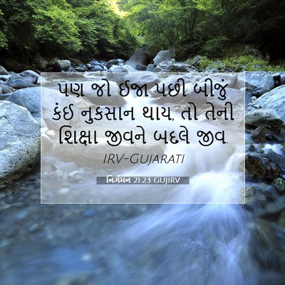 Picture 07 - નિર્ગમન 21:23 GUJIRV - પણ જો ઈજા પછી બીજું - Bible Verse Picture