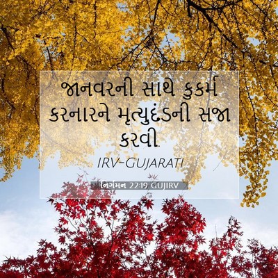 Picture 07 - નિર્ગમન 22:19 GUJIRV - જાનવરની સાથે - Bible Verse Picture