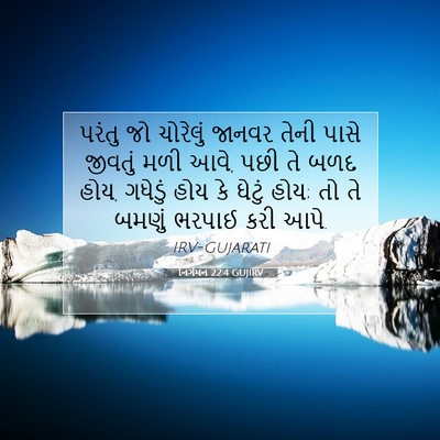Picture 07 - નિર્ગમન 22:4 GUJIRV - પરંતુ જો ચોરેલું - Bible Verse Picture