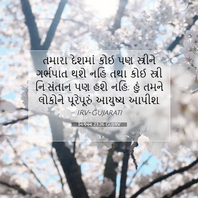 Picture 07 - નિર્ગમન 23:26 GUJIRV - તમારા દેશમાં કોઈ - Bible Verse Picture