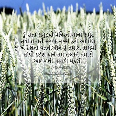 Picture 07 - નિર્ગમન 23:31 GUJIRV - હું રાતા સમુદ્રથી - Bible Verse Picture