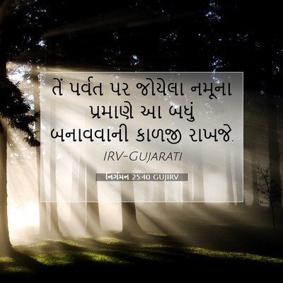 Picture 07 - નિર્ગમન 25:40 GUJIRV - તેં પર્વત પર - Bible Verse Picture