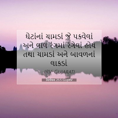 Picture 07 - નિર્ગમન 25:5 GUJIRV - ઘેટાંનાં ચામડાં - Bible Verse Picture