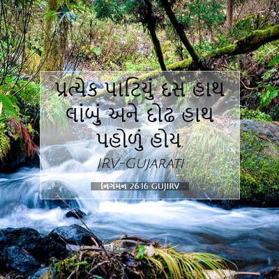 Picture 07 - નિર્ગમન 26:16 GUJIRV - પ્રત્યેક પાટિયું - Bible Verse Picture