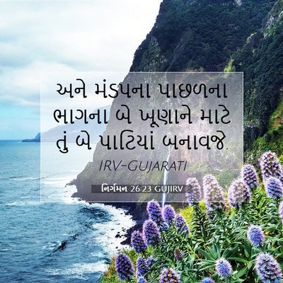 Picture 07 - નિર્ગમન 26:23 GUJIRV - અને મંડપના પાછળના - Bible Verse Picture