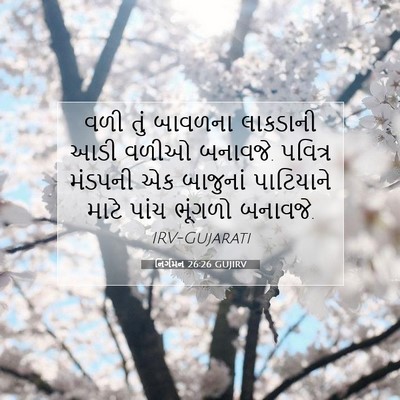 Picture 07 - નિર્ગમન 26:26 GUJIRV - વળી તું બાવળના - Bible Verse Picture