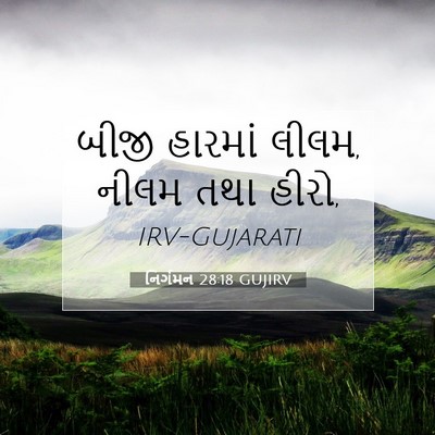Picture 07 - નિર્ગમન 28:18 GUJIRV - બીજી હારમાં લીલમ, - Bible Verse Picture