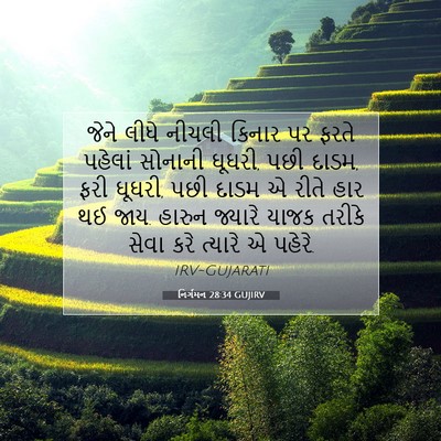 Picture 07 - નિર્ગમન 28:34 GUJIRV - જેને લીધે નીચલી - Bible Verse Picture
