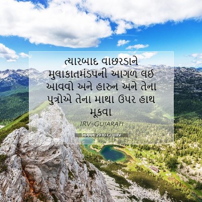 Picture 07 - નિર્ગમન 29:10 GUJIRV - ત્યારબાદ વાછરડાને - Bible Verse Picture