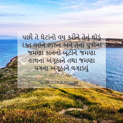 Picture 07 - નિર્ગમન 29:20 GUJIRV - પછી તે ઘેટાંનો વધ - Bible Verse Picture
