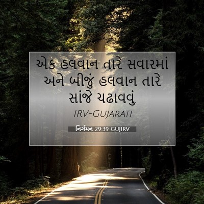 Picture 07 - નિર્ગમન 29:39 GUJIRV - એક હલવાન તારે - Bible Verse Picture