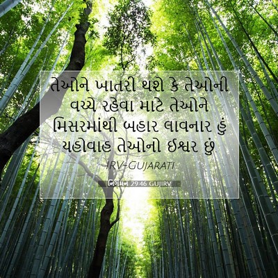 Picture 07 - નિર્ગમન 29:46 GUJIRV - તેઓને ખાતરી થશે કે - Bible Verse Picture