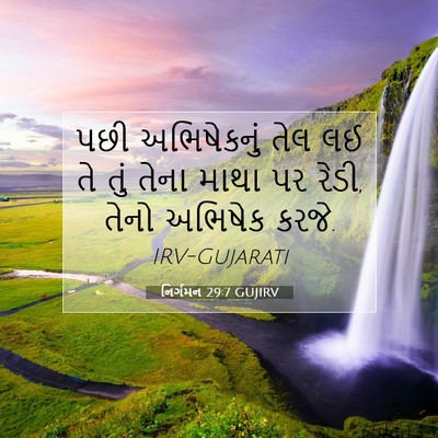 Picture 07 - નિર્ગમન 29:7 GUJIRV - પછી અભિષેકનું તેલ - Bible Verse Picture