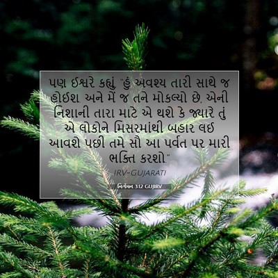 Picture 07 - નિર્ગમન 3:12 GUJIRV - પણ ઈશ્વરે કહ્યું, - Bible Verse Picture