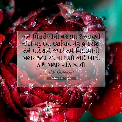 Picture 07 - નિર્ગમન 3:21 GUJIRV - અને મિસરીઓની - Bible Verse Picture