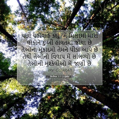 Picture 07 - નિર્ગમન 3:7 GUJIRV - પછી યહોવાહે - Bible Verse Picture