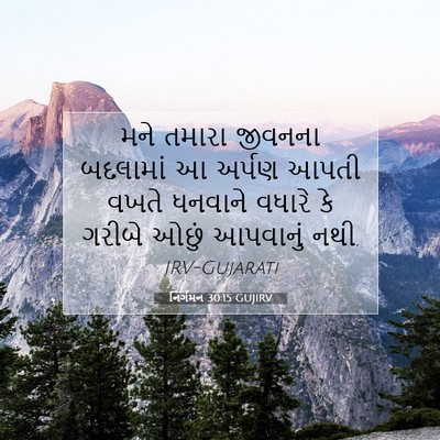 Picture 07 - નિર્ગમન 30:15 GUJIRV - મને તમારા જીવનના - Bible Verse Picture