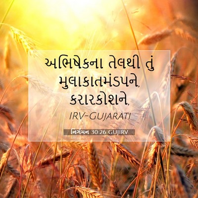 Picture 07 - નિર્ગમન 30:26 GUJIRV - અભિષેકના તેલથી - Bible Verse Picture