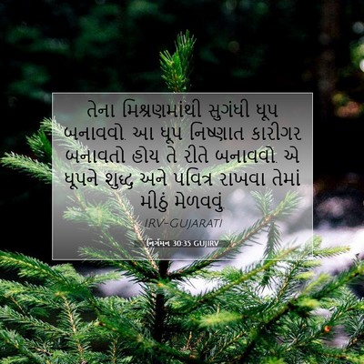 Picture 07 - નિર્ગમન 30:35 GUJIRV - તેના મિશ્રણમાંથી - Bible Verse Picture