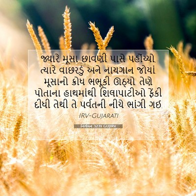 Picture 07 - નિર્ગમન 32:19 GUJIRV - જ્યારે મૂસા છાવણી - Bible Verse Picture