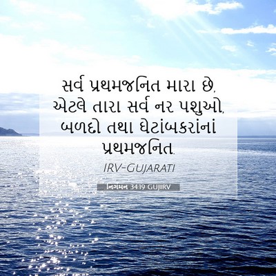 Picture 07 - નિર્ગમન 34:19 GUJIRV - સર્વ પ્રથમજનિત - Bible Verse Picture