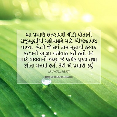 Picture 07 - નિર્ગમન 35:29 GUJIRV - આ પ્રમાણે ઇઝરાયલી - Bible Verse Picture