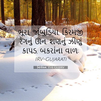 Picture 07 - નિર્ગમન 35:6 GUJIRV - ભૂરા, જાંબુડિયા, - Bible Verse Picture