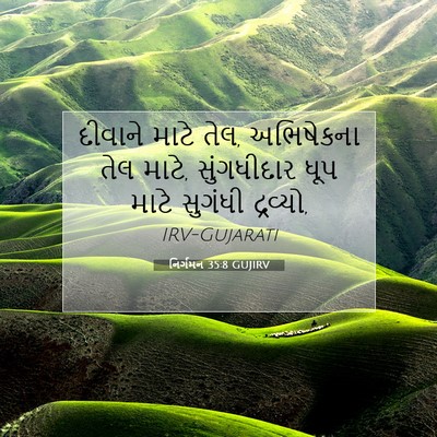 Picture 07 - નિર્ગમન 35:8 GUJIRV - દીવાને માટે તેલ, - Bible Verse Picture