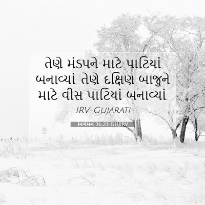 Picture 07 - નિર્ગમન 36:23 GUJIRV - તેણે મંડપને માટે - Bible Verse Picture