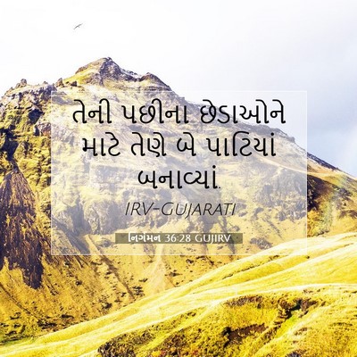 Picture 07 - નિર્ગમન 36:28 GUJIRV - તેની પછીના - Bible Verse Picture