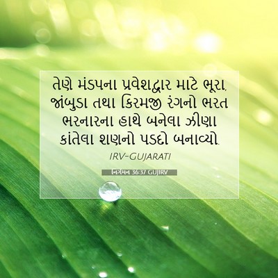 Picture 07 - નિર્ગમન 36:37 GUJIRV - તેણે મંડપના - Bible Verse Picture