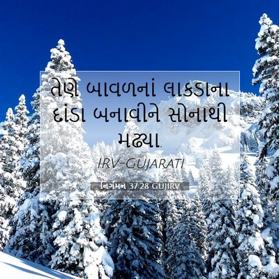 Picture 07 - નિર્ગમન 37:28 GUJIRV - તેણે બાવળનાં - Bible Verse Picture