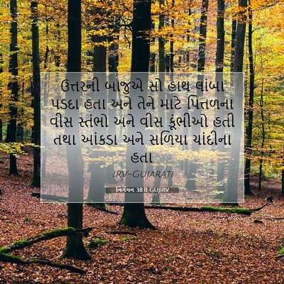 Picture 07 - નિર્ગમન 38:11 GUJIRV - ઉત્તરની બાજુએ સો - Bible Verse Picture