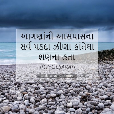 Picture 07 - નિર્ગમન 38:16 GUJIRV - આગણાંની આસપાસના - Bible Verse Picture