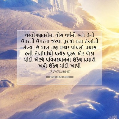 Picture 07 - નિર્ગમન 38:26 GUJIRV - વસ્તીગણતરીમાં વીસ - Bible Verse Picture