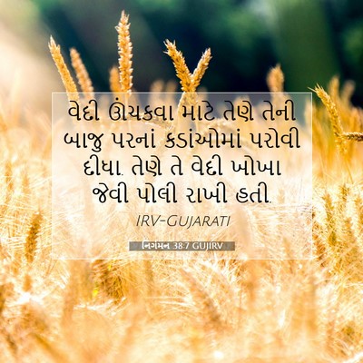 Picture 07 - નિર્ગમન 38:7 GUJIRV - વેદી ઊંચકવા માટે - Bible Verse Picture