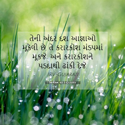 Picture 07 - નિર્ગમન 40:3 GUJIRV - તેની અંદર દશ - Bible Verse Picture