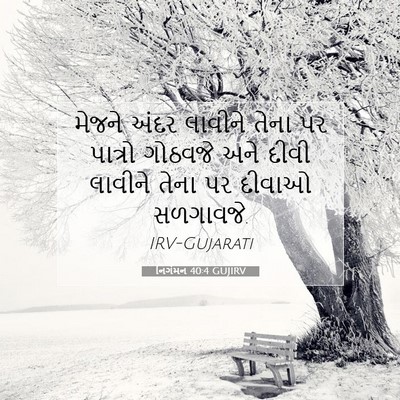 Picture 07 - નિર્ગમન 40:4 GUJIRV - મેજને અંદર લાવીને - Bible Verse Picture