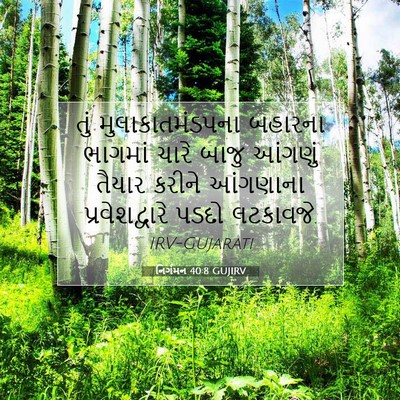 Picture 07 - નિર્ગમન 40:8 GUJIRV - તું મુલાકાતમંડપના - Bible Verse Picture