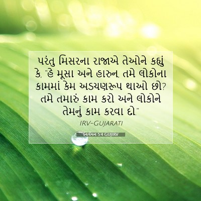 Picture 07 - નિર્ગમન 5:4 GUJIRV - પરંતુ મિસરના - Bible Verse Picture